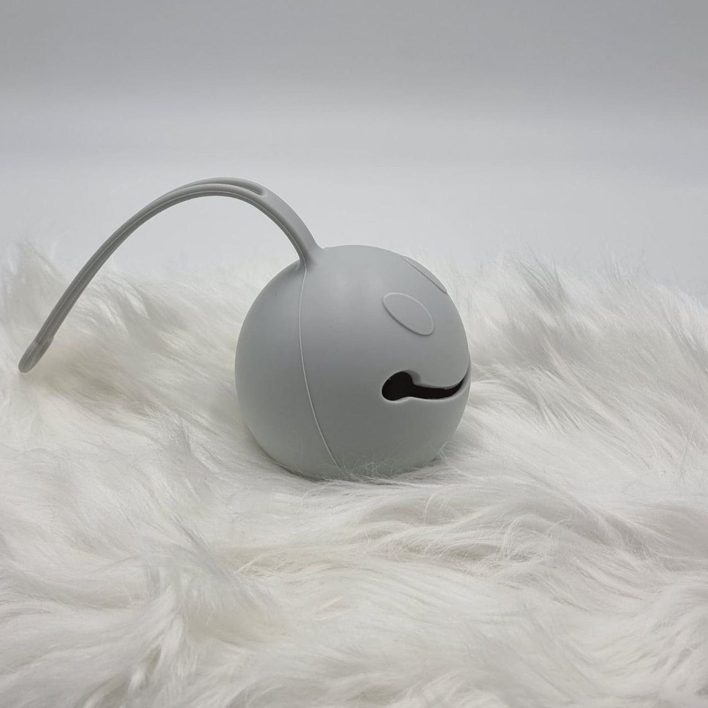 Pacifier Case Accessory