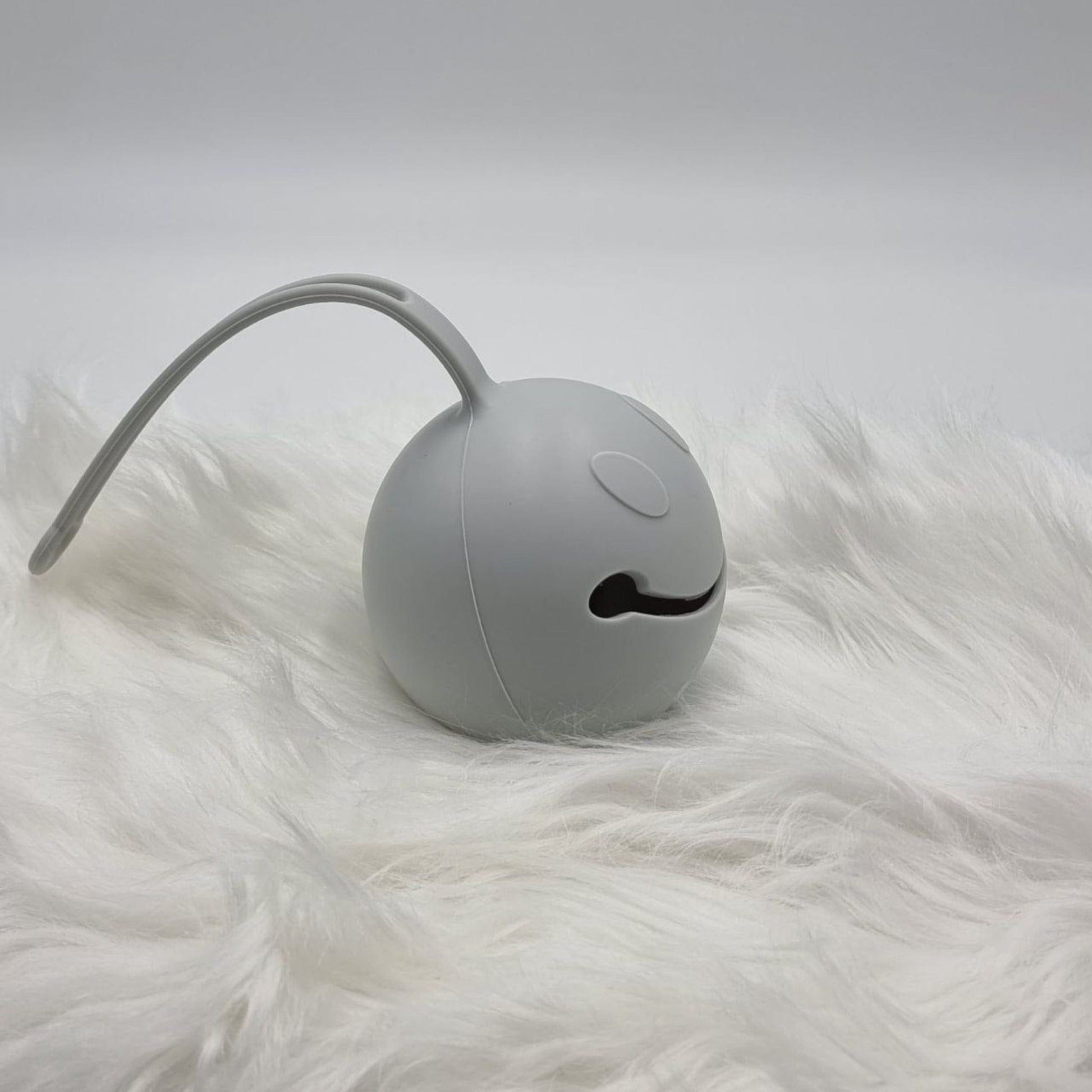 Pacifier Case Accessory